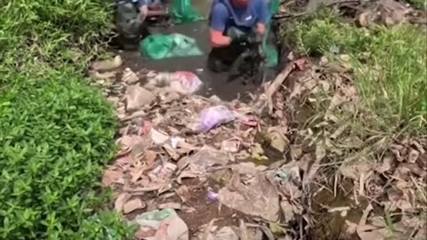 cleaning up rubbish