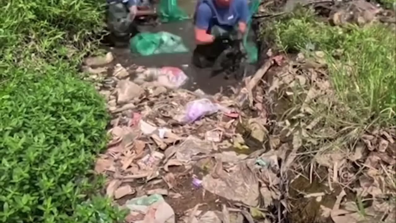 cleaning up rubbish