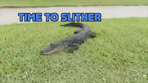 So cute
