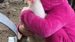 Patient Chicken Loves The Hugs