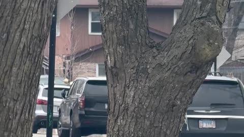 Cat Rides Unnoticed on Top of SUV