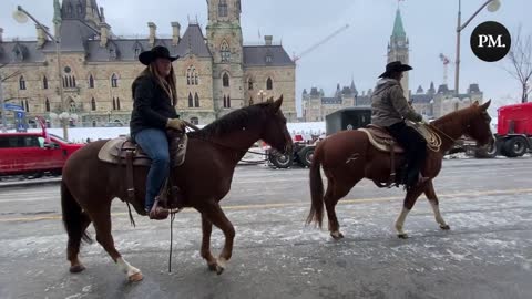 Bugsy and Reno are out with their humans in support of the Freedom Convoy