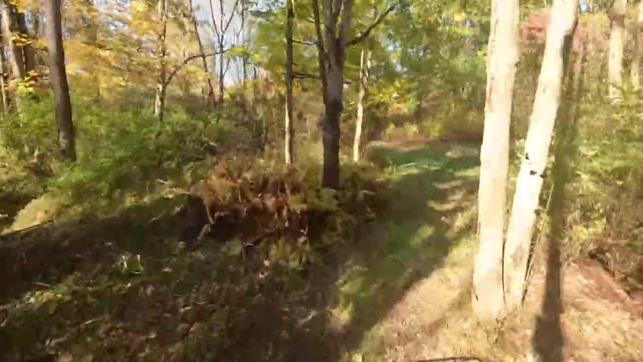 Riding a Sportsman 500 around my new ATV trails