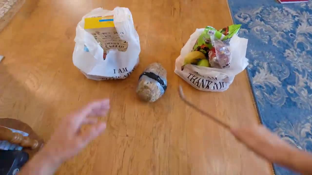 Losing Pet Rock