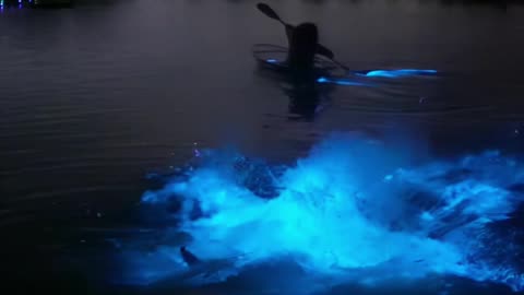 Neon water