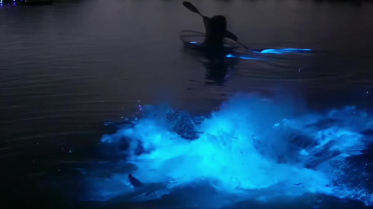 Neon water