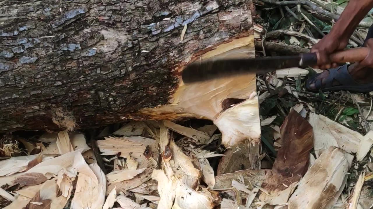 Village People Amazing Wood Cutting Video