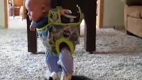 cute babies play with pets