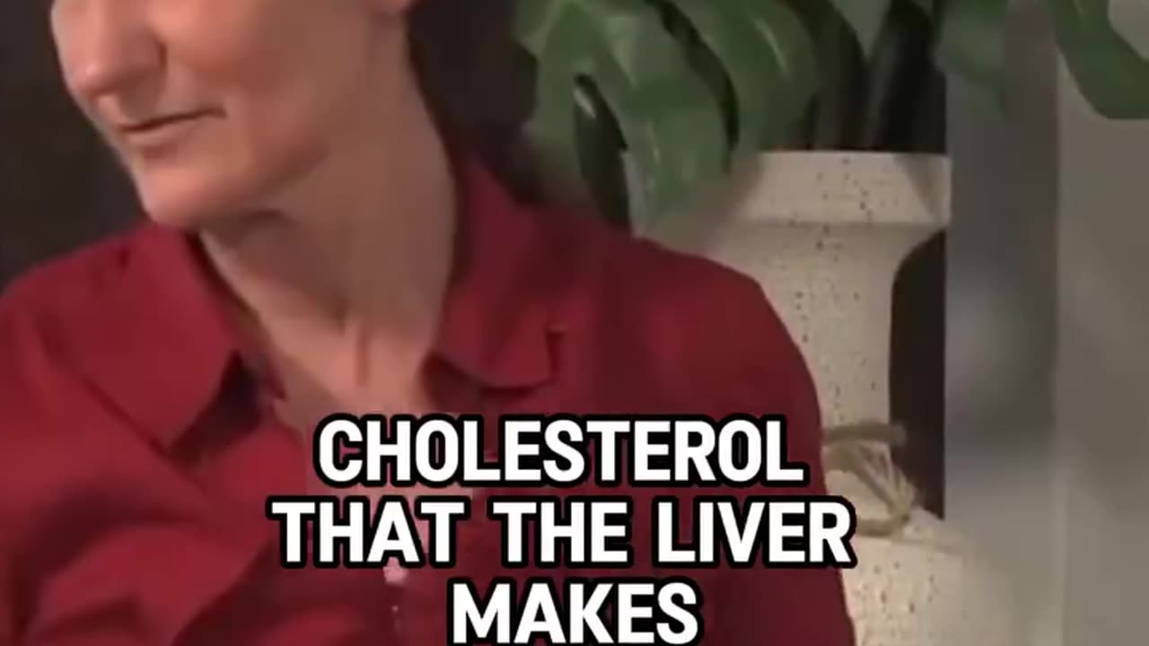 cholesterol production in the liver