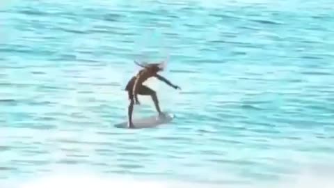 Surfing's got talent