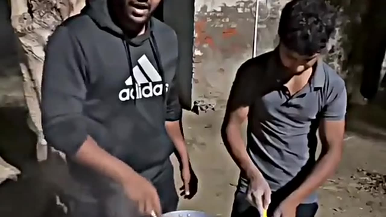 Funny shots video in 2023