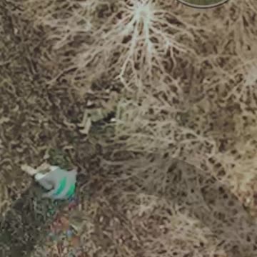 Incredible Drops Mixs