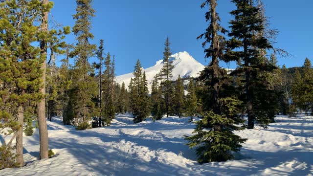 Incredible Alpine Wonderland – Mount Hood – Oregon – 4K