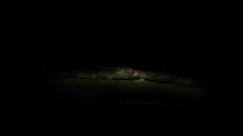 Vlog in the car before night driving