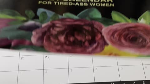 The FUCK it Calendar