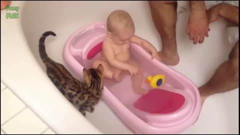 Kitten and babies playing