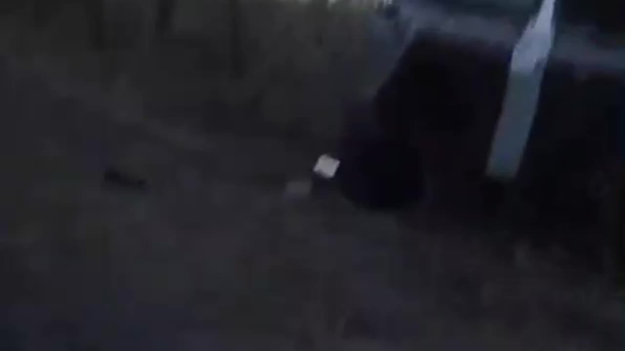 Destroyed Ukrainian convoy