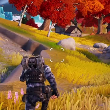 Don't do it Mr. Chicken!