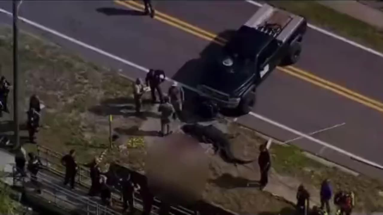 Pinellas County, Florida, body was discovered next to a colossal alligator.