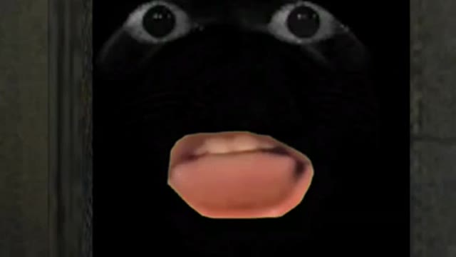 Angry Munci is Funny ! 🤣 #gmod #obunga #fun