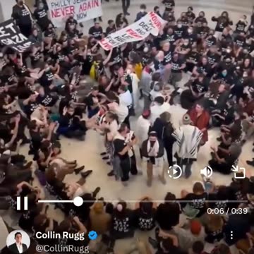 Capitol taken over by Palestine protestors