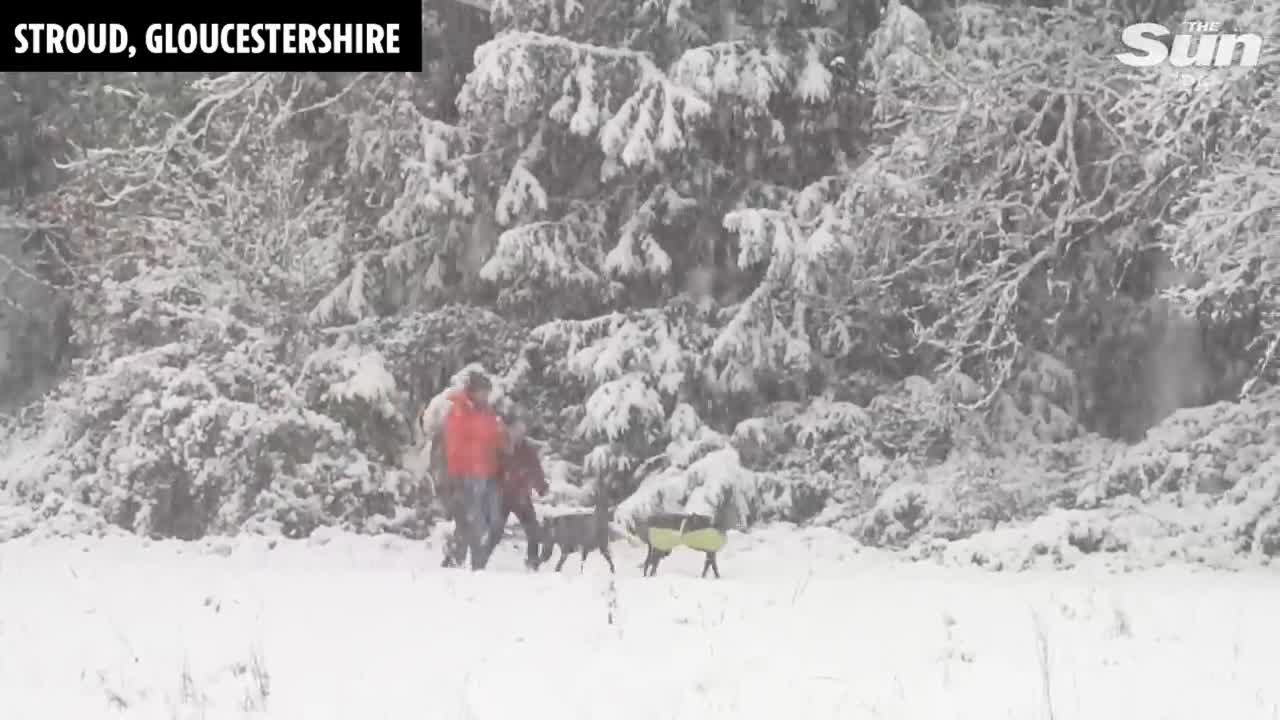 Travel chaos amid snow with flights cancelled, trains delayed and motorways blocked in -10C freeze