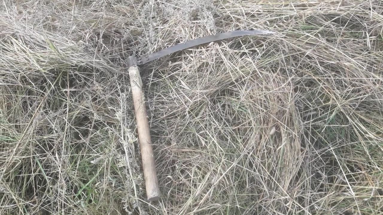 Grandfather's scythe for grass