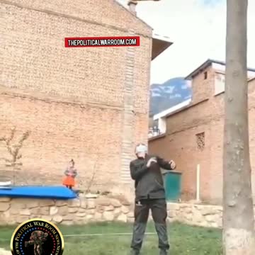 "HOLY COW - UP, UP, UP & AWAY WATCH THE FLYING DOG PREFORM THE TRIPPLE LOOP"