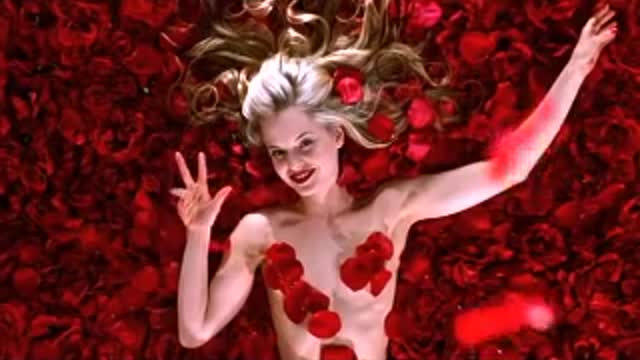 Lester's Rose Petal Dream American Beauty Classic