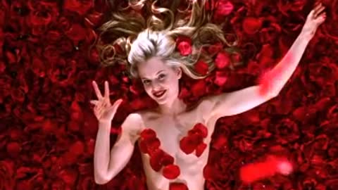 Lester's Rose Petal Dream American Beauty Classic