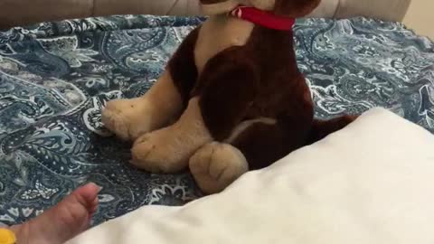Cute 🥰 baby Hoorain Playing with dog 🐶 | Hoorain ki mastiyan | Hoorain’s world 🌎 | Happy 😃 Baby
