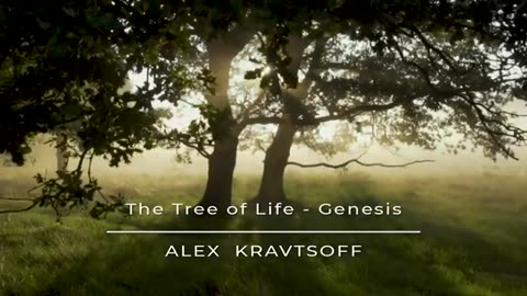 Beautiful piano music and meditation music
