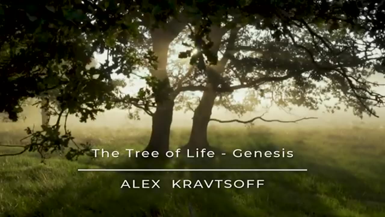 Beautiful piano music and meditation music