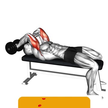 Sculpt Your Triceps #tricepsexercises #armday #fitnessgoals #strengthtraining #shorts #short