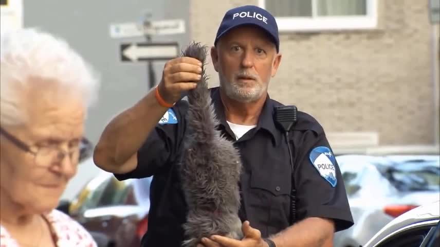 This policeman is so funny.