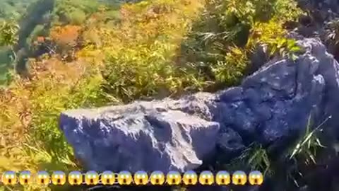 Wow
