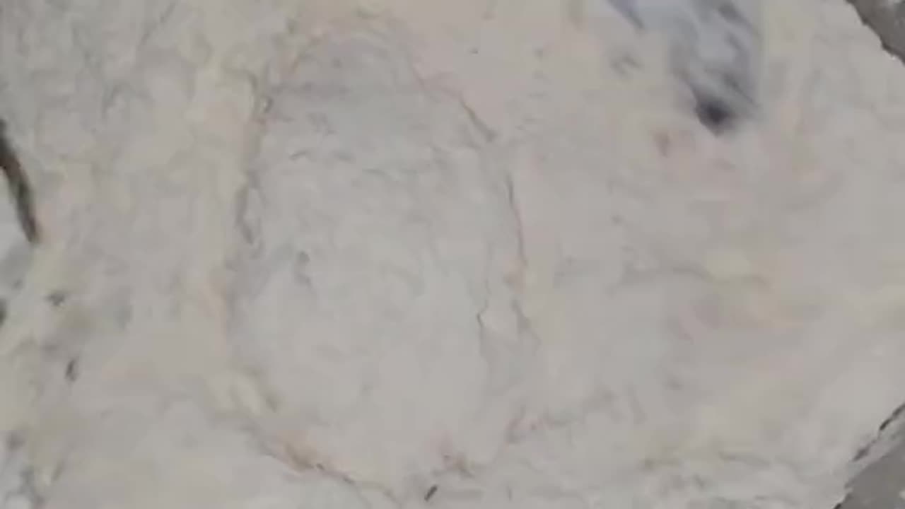 Food Time