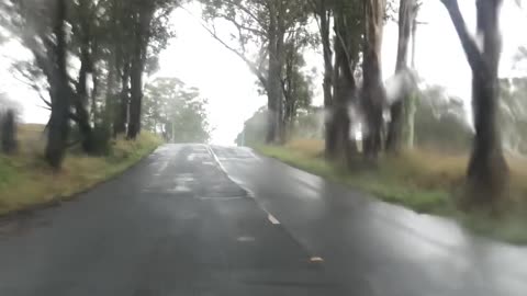 Rascal Driving. Wet weather Part 1