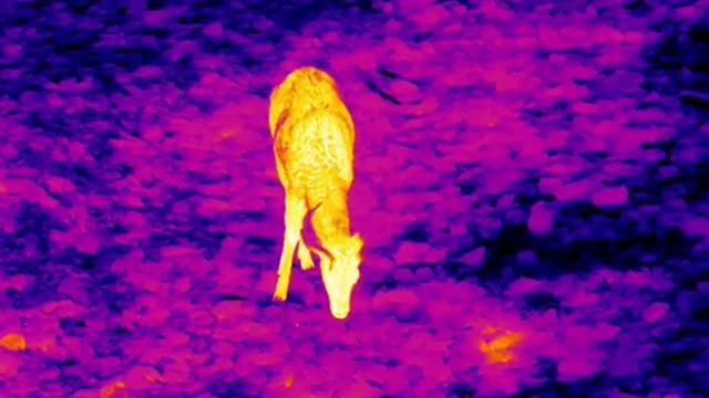 Hunter Aron Who’s ready to hunt again? #huntingseason