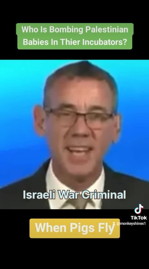 Israeli Agent Claims That They Didn't Harm Any Palestinian Babies In Incubators.