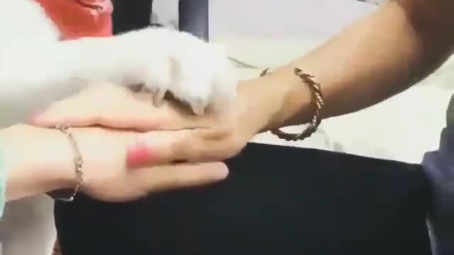 Cute and funny