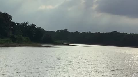 The Sounds of Mother Nature