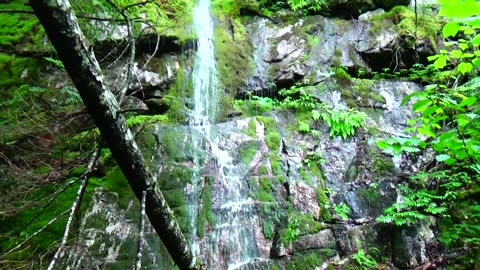 Cascade