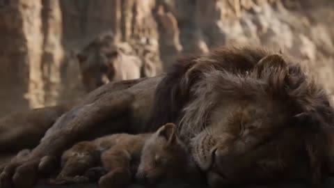 The Lion King Hindi & Urdu