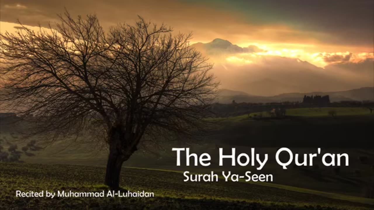 SURAH YASEEN BEST RECITATION QURAN