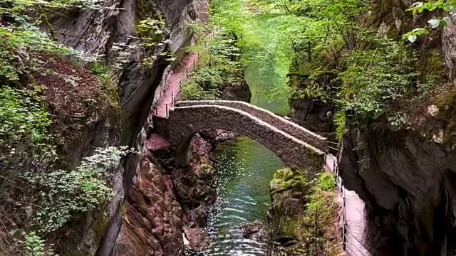 Into the wild🌱 📍Gorges de l’Areuse NEUCHÂTEL🇨🇭