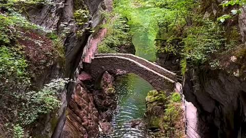 Into the wild🌱 📍Gorges de l’Areuse NEUCHÂTEL🇨🇭