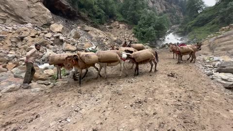 ROOF OF INDIA - DAY 7. RIDE TO DAKSUM