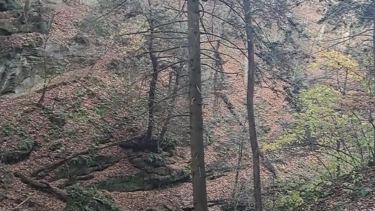 Noah's world wide flood evidence all over the world, Hocking Hills, Oh