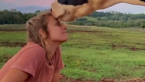 Animal lover's